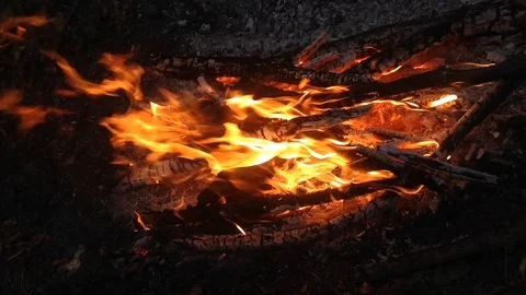 Burning fire close up Stock Footage 93420318