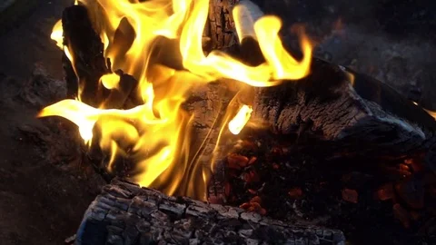 Burning fire close-up. Slow motion of flames on logs in the fire Stock Footage 84032963