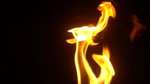 Burning fire. Closeup of flames burning in slow motion effect. Video stock 127248201