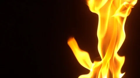 Burning fire. Closeup of flames burning in slow motion effect. Video stock 127304780
