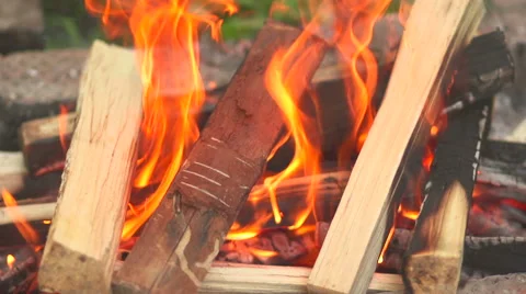 Burning fire closeup Stock Footage 55502509
