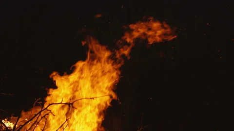 Burning fire on a dark background Stock Footage 105376462