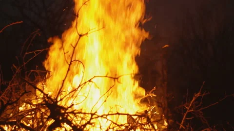 Burning fire on a dark background Stock Footage 105479425