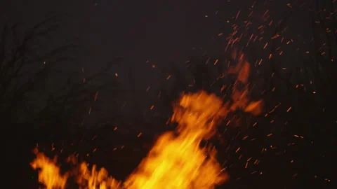 Burning fire on a dark background Stock Footage 105569231
