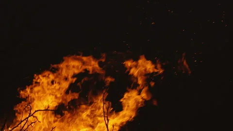 Burning fire on a dark background Stock-Footage 105684342