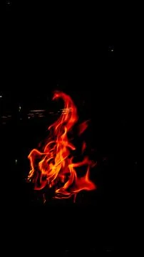 Burning fire on a dark background Stock Photos