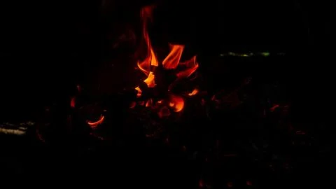Burning fire on a dark background Stock Photos