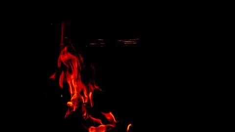 Burning fire on a dark background Stock Photos