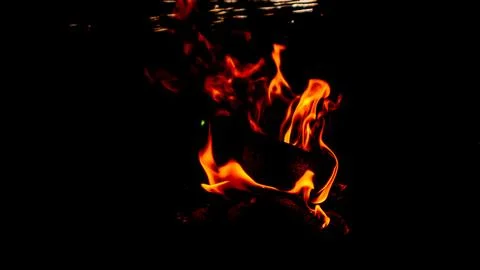 Burning fire on a dark background Stock Photos