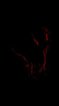 Burning fire on a dark background Stock Photos