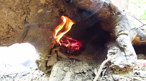 Burning fire, daytime Stock Footage 52308259