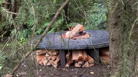 Burning Fire in DIY Concrete Fire Pit with Firewood Storage Stock Footage 342001994