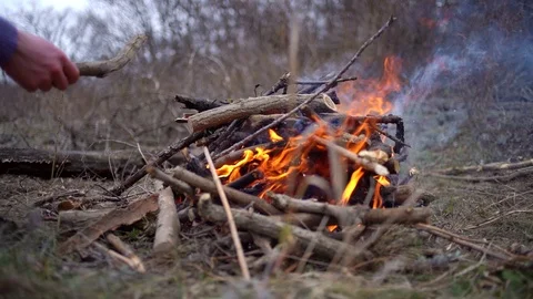 Burning Fire Of Dry Branches In The Forest Video stock 102225242