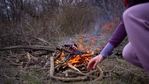 Burning fire of dry branches in the forest Video stock 102225260