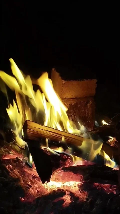 Burning fire at an evening picnic. Vertical video from a tourist holiday in the Stock Footage 292751818