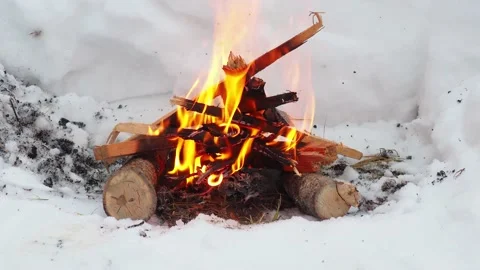 Burning fire. The fire burns in the forest. Texture of burning coals. Campfir Stock Footage 169157622