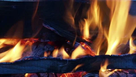 Burning fire. The fire burns in the forest. Texture of burning coals. Campfir Stock Footage 169157655