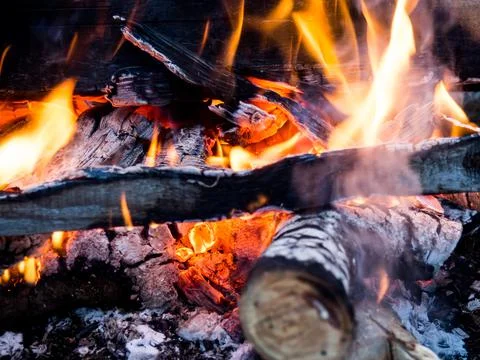 Burning fire. The fire burns in the forest. Texture of burning coals. Campfir Foto stock