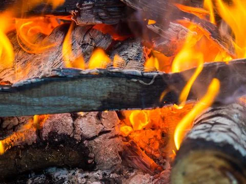 Burning fire. The fire burns in the forest. Texture of burning coals. Campfir Stock-Fotos