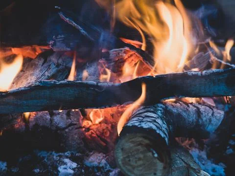 Burning fire. The fire burns in the forest. Texture of burning coals. Campfir Stock Photos