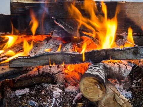 Burning fire. The fire burns in the forest. Texture of burning coals. Campfir Stock Photos