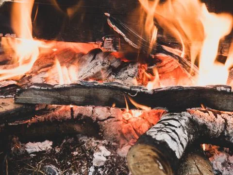 Burning fire. The fire burns in the forest. Texture of burning coals. Campfir Stock Photos