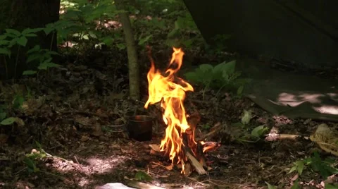 Burning fire in the fire in the dark part of the summer forest Vidéo 68300108
