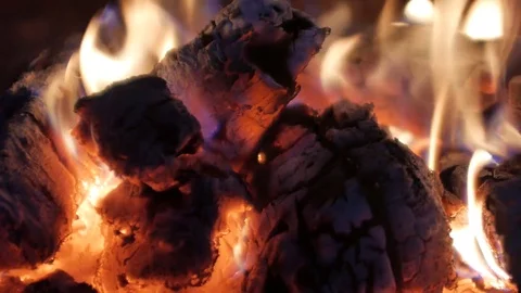 Burning Fire in the Fireplace. Stock Footage 82924962