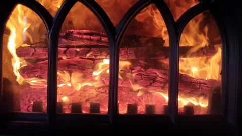 Burning fire in fireplace. Stock Footage 261751237