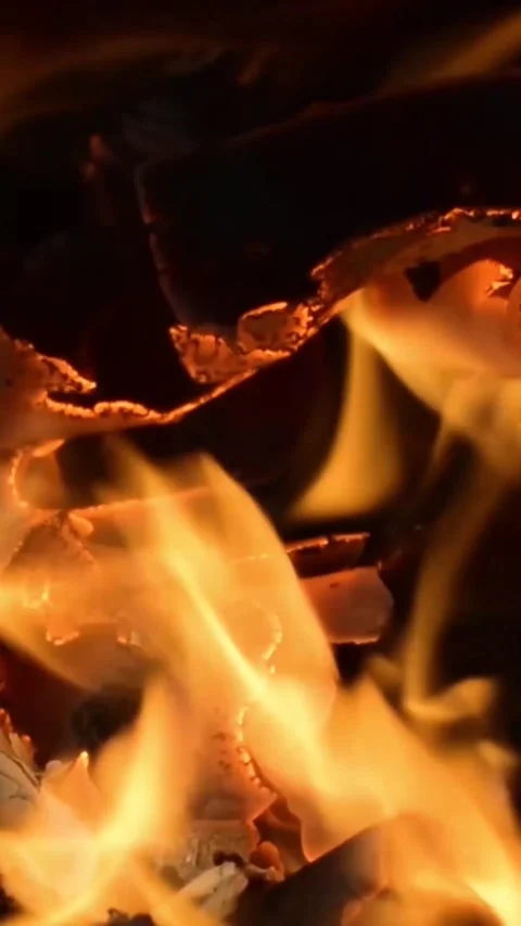Burning fire in a fireplace Stock Footage 302386812