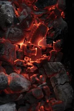 Burning fire in a fireplace Stock Photos