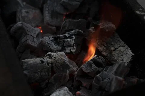 Burning fire in a fireplace Stock Photos
