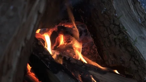 Burning Fire In The Fireplace. Slow motion. Vidéo 103102845