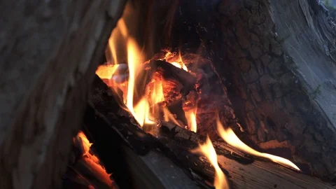 Burning Fire In The Fireplace. Slow motion. Vidéo 103103866