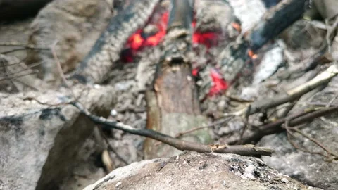 Burning Fire In The Fireplace with twigs Stock Footage 113360820