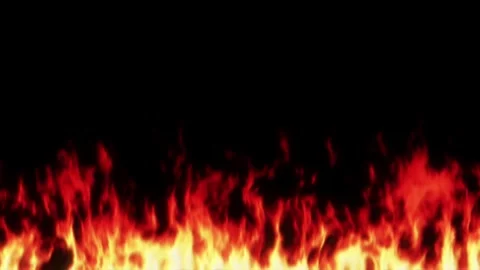 Burning fire flame on black background. Orange red yellow flame Stock Footage 311424863