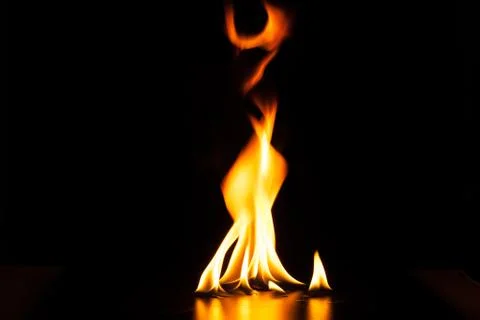 Burning fire flame on black background Stock Photos