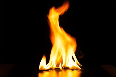 Burning fire flame on black background Stock Photos