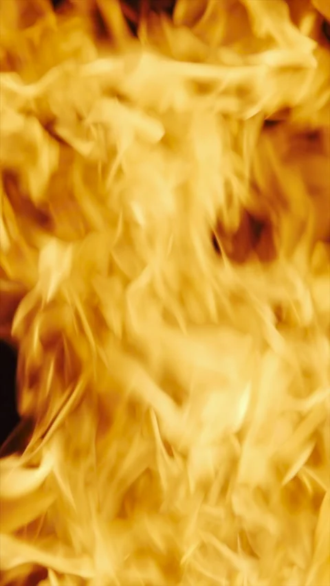 Burning fire flame on dark background Stock Footage 258475962