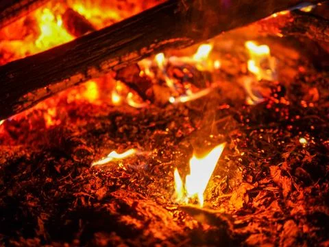 Burning Fire Flame Logs and Coals Foto stock