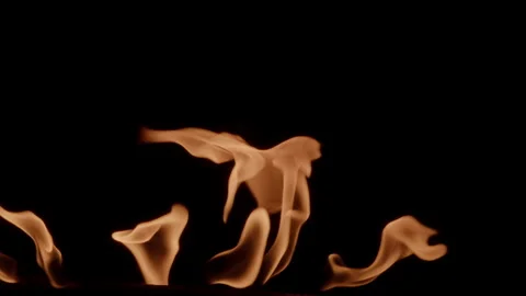 Burning fire flame texture isolated on black background, wildfire concept Stock Footage 157109468