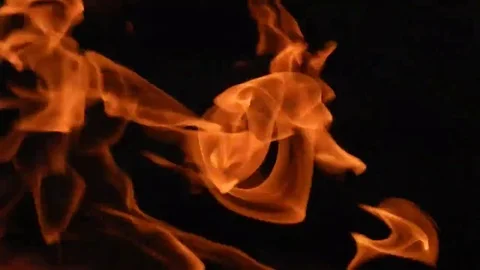 Burning fire flames on a black background closeup Stock Footage 69175237