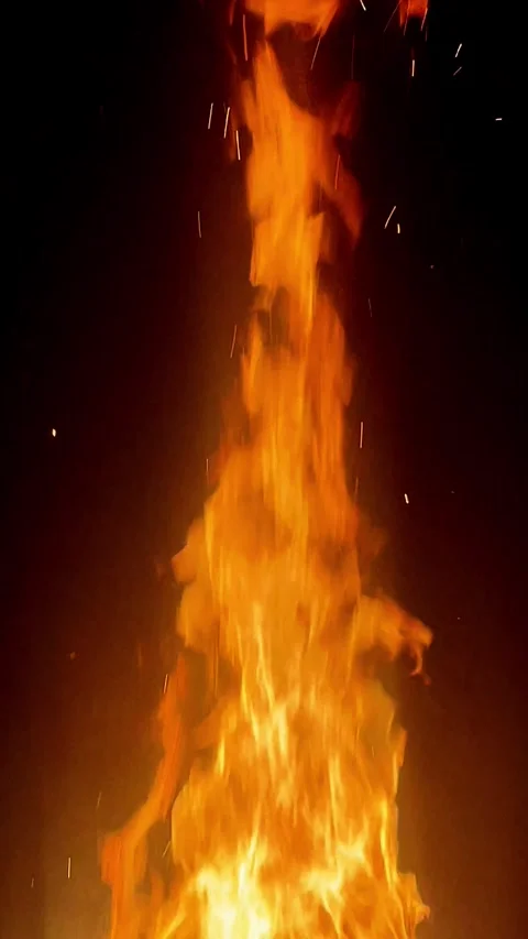 Burning Fire Flames on Black Night Background Vertical Video Video stock 301905521