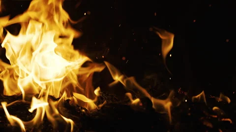 Burning Fire Flames Close-Up with Sparks at Night Stock Footage 346175831