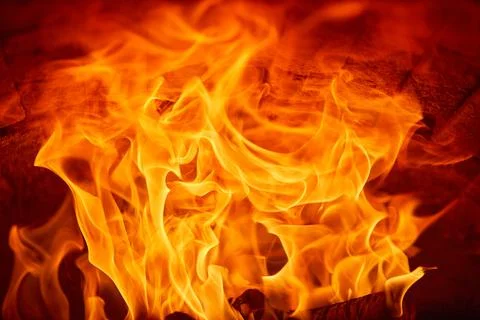 Burning fire flames on a dark background. Stock Photos