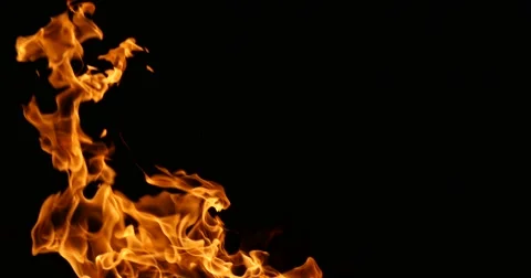 Burning Fire Flames Stock Footage 48784920