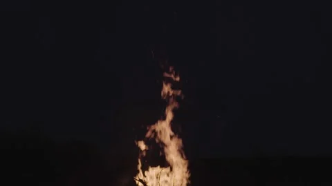 Burning fire flames, Night bonfire 스톡 동영상 143256755