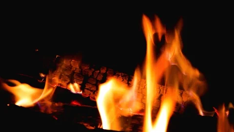 Burning fire flames at night. Сampfire firewood. Bonfire flames of camping fire Video stock 120696370