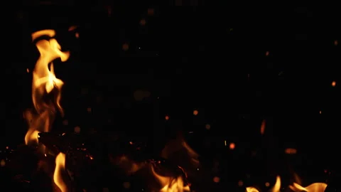 Burning Fire Flames with Rising Sparks on Black Background Stock Footage 346175934
