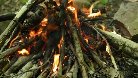 Burning fire for food Stock Footage 90480739